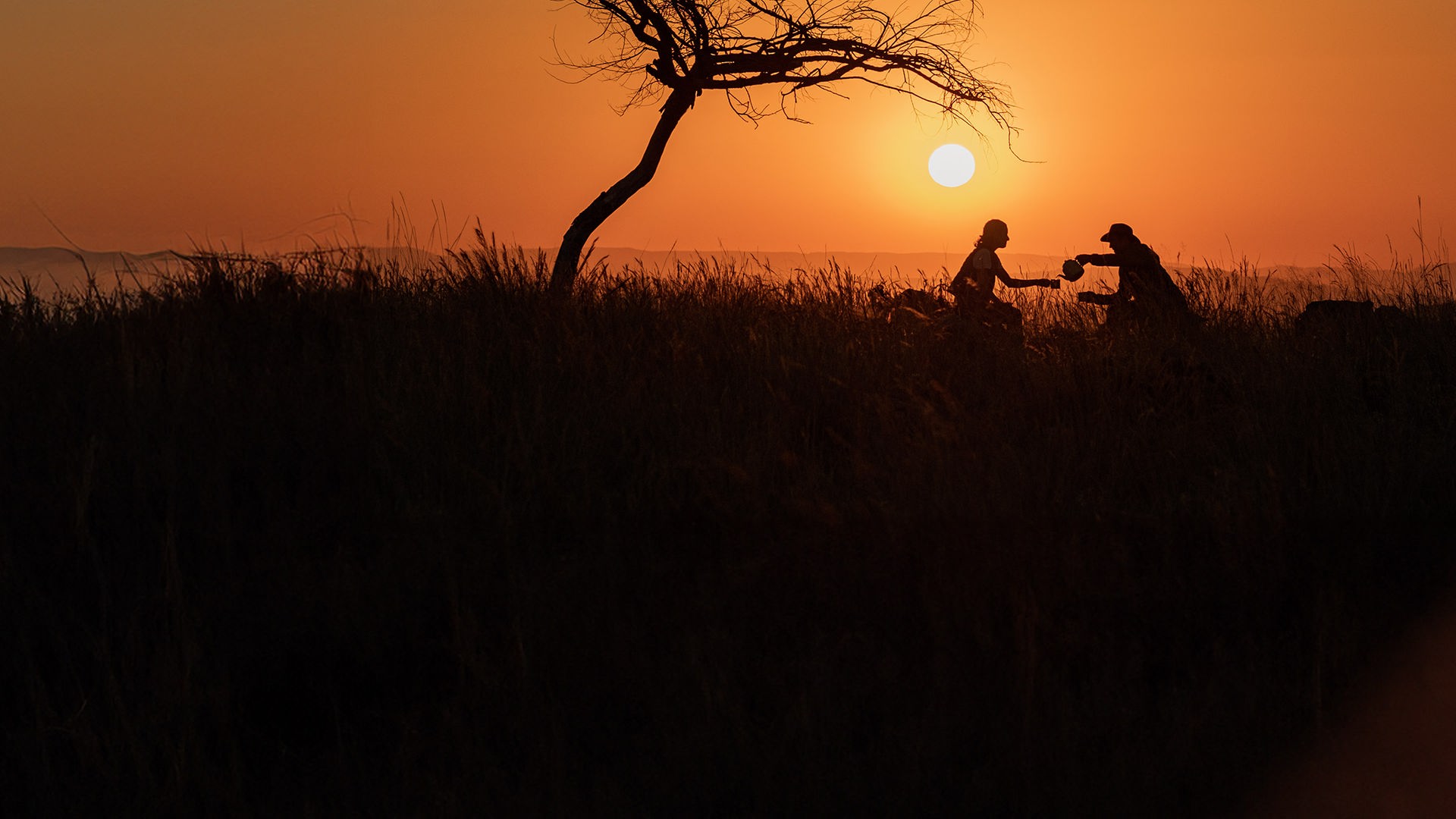 Fritz und Yasemin sitzen im Sonnenuntergang unter einem Baum