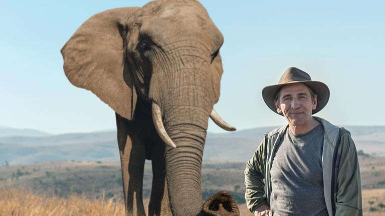 Löwenzahn in Afrika