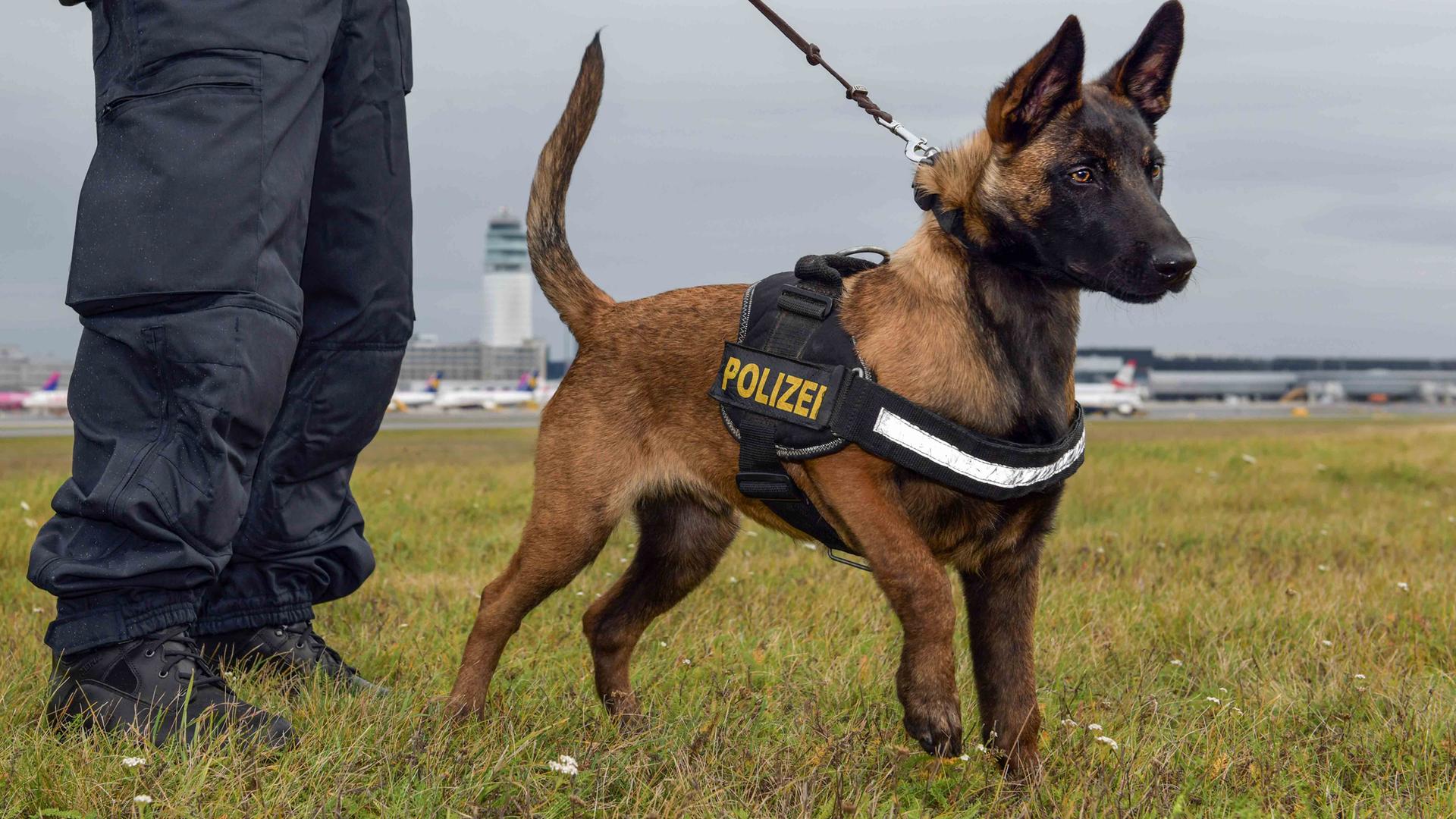 Doku Polizei Vorschau