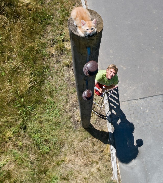 Fritz schaut zu einer Katze hoch, die auf einem hohen Pfahl sitzt