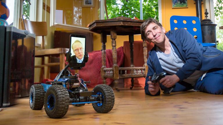 Löwenzahn