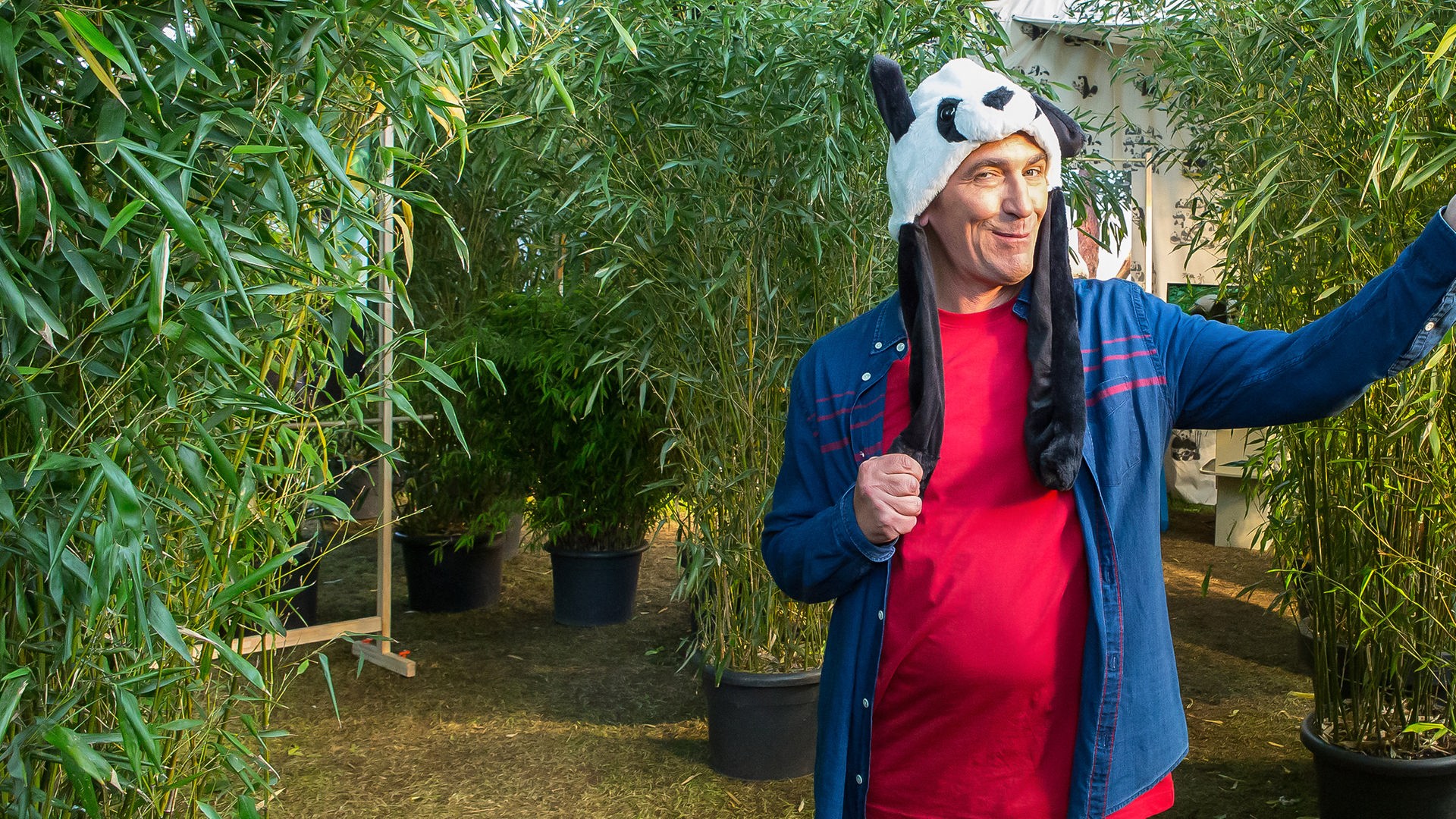 Fritz steht zwischen Kübeln mit Bambus und hat eine Pandamütze auf dem Kopf