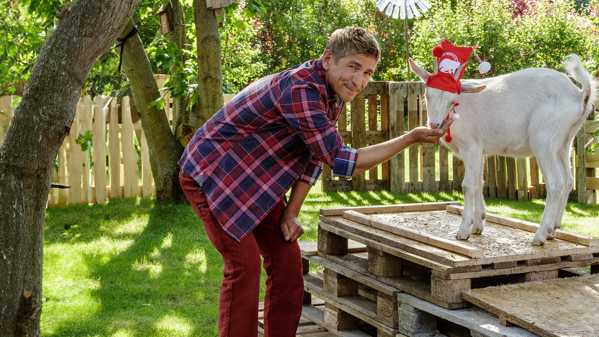 Fritz steht im Garten einer Ziege gegenüber