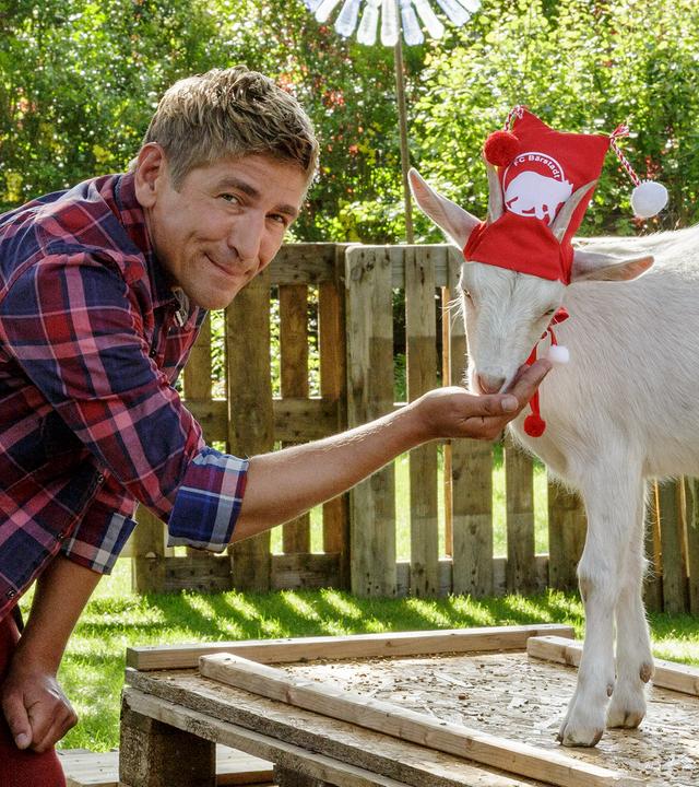 Fritz steht im Garten einer Ziege gegenüber