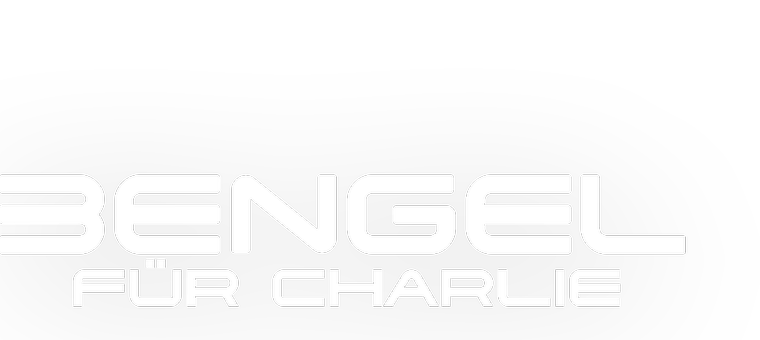 Das Logo zum Film 3 Engel für Charlie
