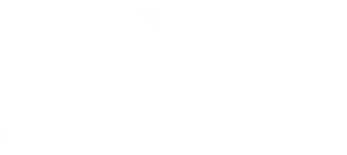 Logo links, Das Netz