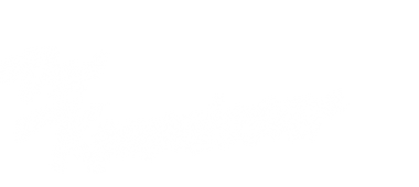 Der Kommissar