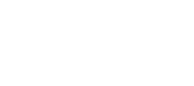 Logo, Duell der Hochzeitsprofis