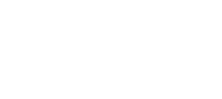 Logo, Erzgebirgskrimi
