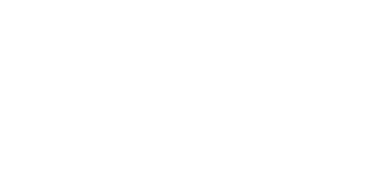 Logo, Die Hochzeit meines besten Freundes
