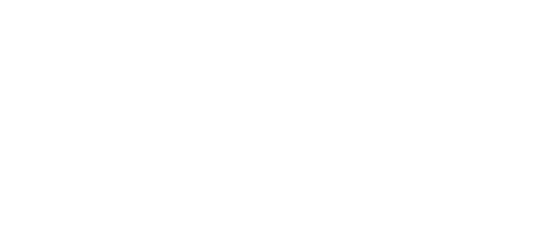 Lillys Verschwinden
