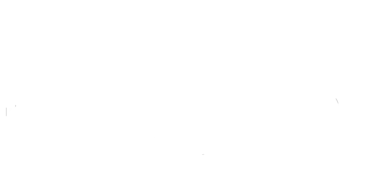 Logo, Robin Hood, König der Diebe