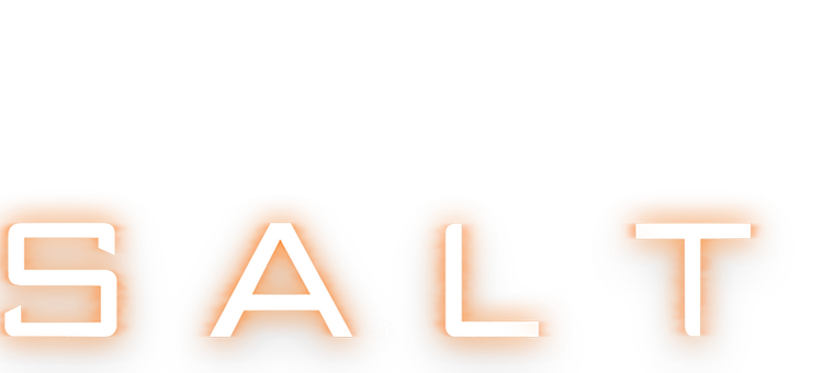 Logo des Films "Salt" mit Angelina Jolie.