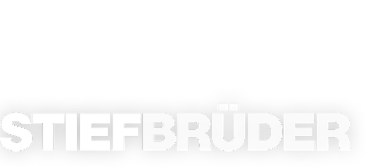 Das Logo des Films Stiefbrüder