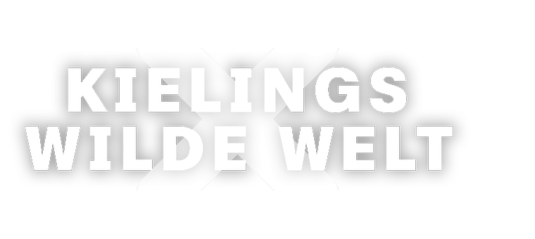 Artwork Kielings wilde Welt