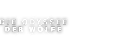 Artwork Odysee der Wölfe