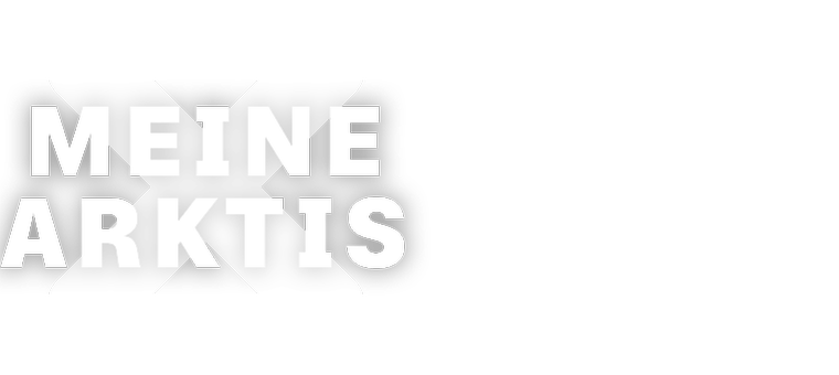 Artwork Sebastian Ströbel - Meine Arktis