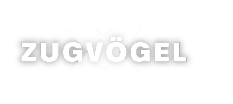 Artwork Zugvögel