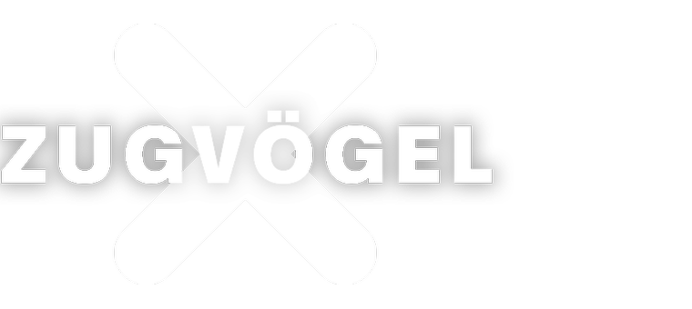 Artwork Zugvögel