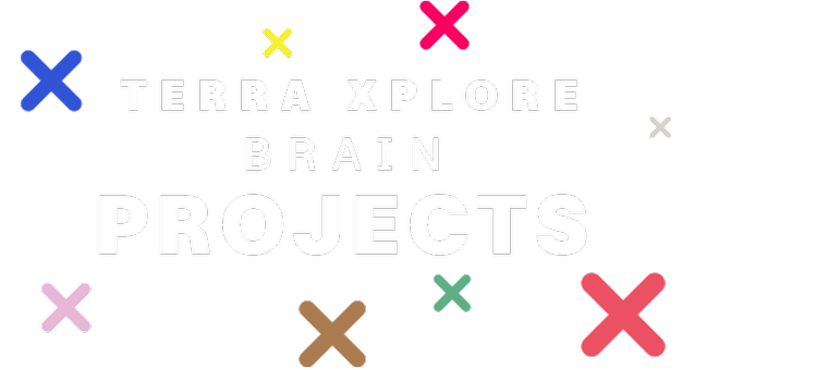 logo-links-terra-xplore-brain-projects