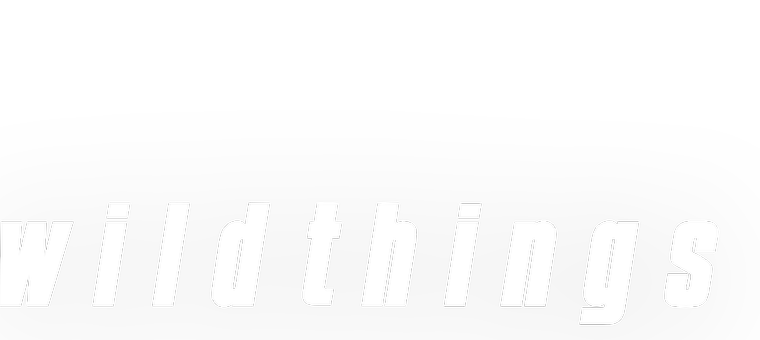Das Logo des Films Wild Things
