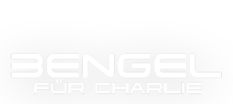 Das Logo zum Film 3 Engel für Charlie