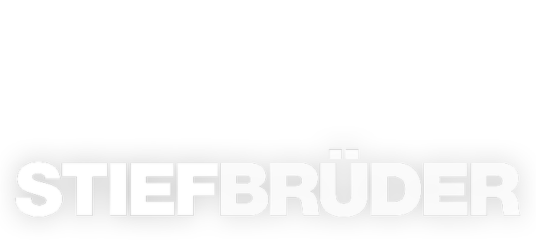 Das Logo des Films Stiefbrüder