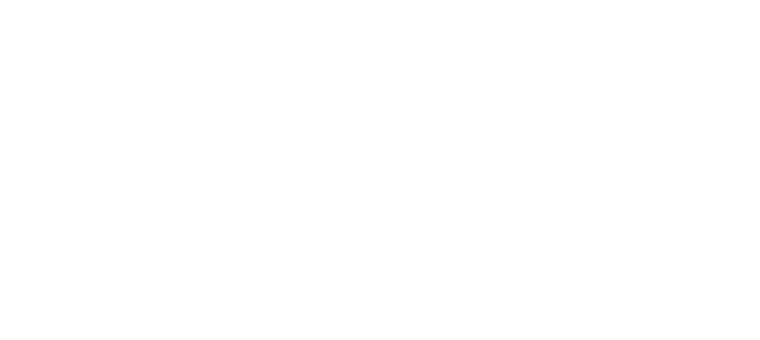 Logo, Die drei Musketiere, D'Artagnan