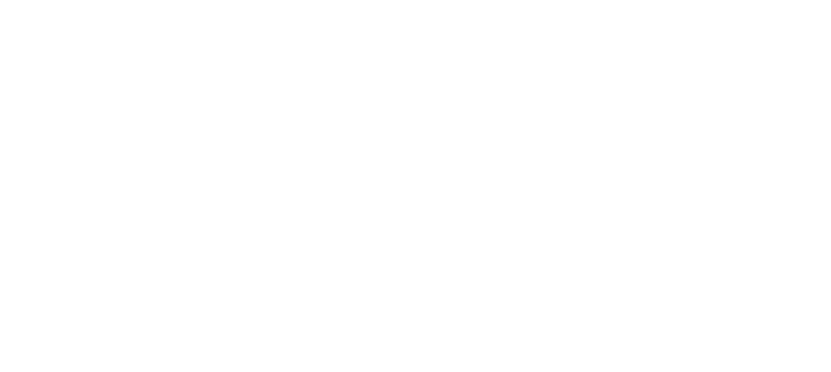 Logo, Das blaue Wunder