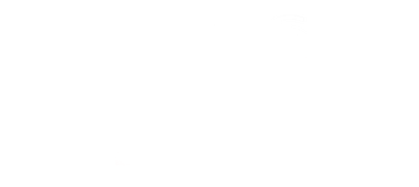 Logo mittig, Das Netz