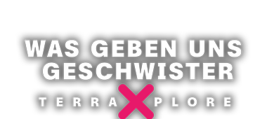 Logo mittig | Ehrlich Brothers: Was geben uns Geschwister?