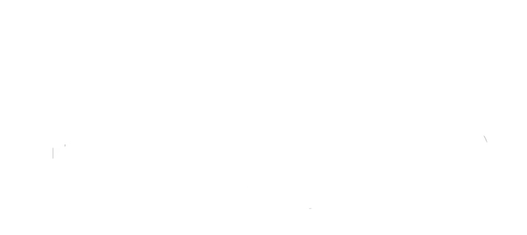 Logo, Robin Hood, König der Diebe