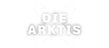 Artwork die Arktis