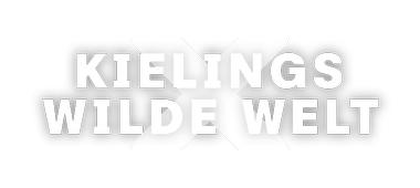 Artwork Kielings wilde Welt