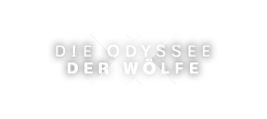 Artwork Odysee der Wölfe