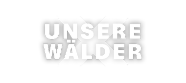 Artwork unser Wald