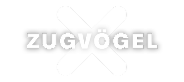 Artwork Zugvögel