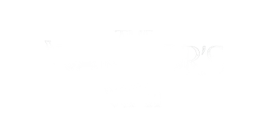 Logo, The Warrior's Way
