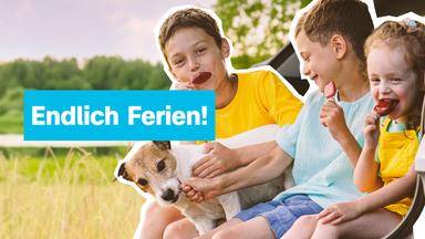 Logo! - Die Kindernachrichten Des Zdf - Logo! Am Freitag, 28.07.2023 - Nachrichten, Einfach Erklärt