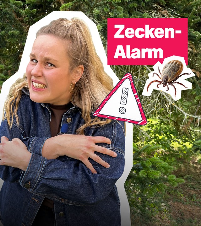 Reporterin Isabelle steht am Waldrand, schaut ängstlich und greift sich an die Oberarme. Links oben ist eine Zecke vergrößert abgebildet. Darunter der Text "Zecken-Alarm". Rechts von Isabelle ist eine Grafik eines Warndreieicks abgebildet.