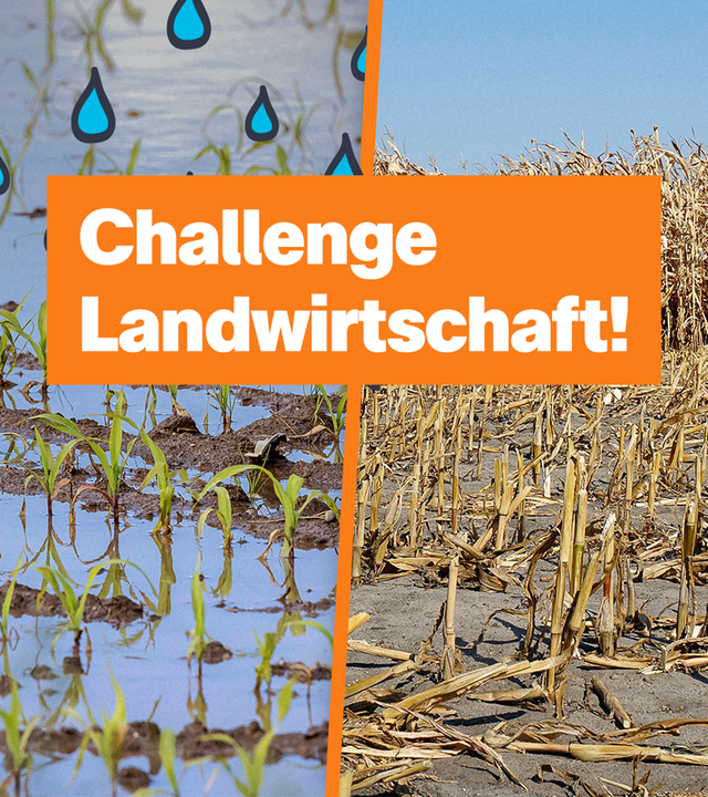 logo vom 17. Januar 2025