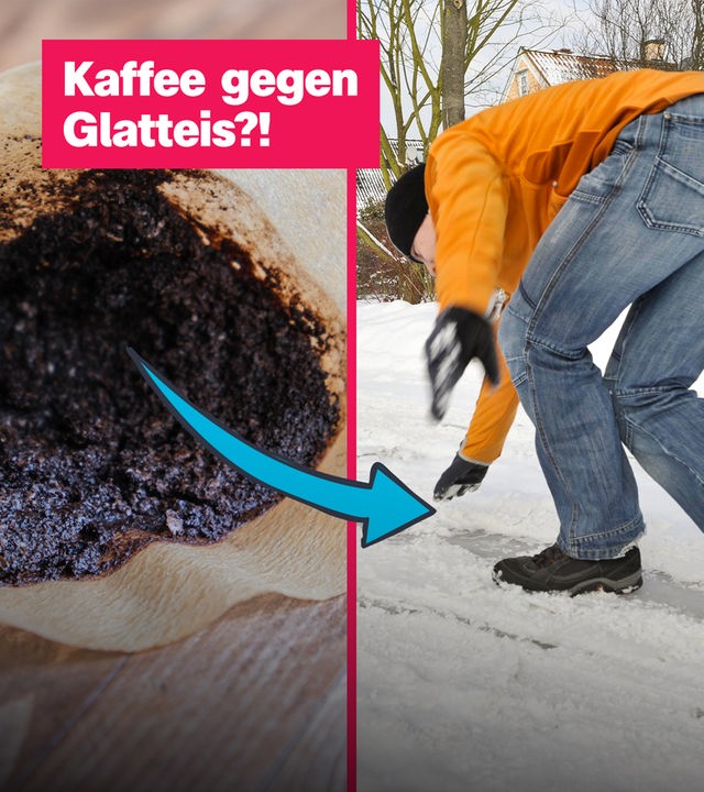 logo! am Freitag, 09.01.2026