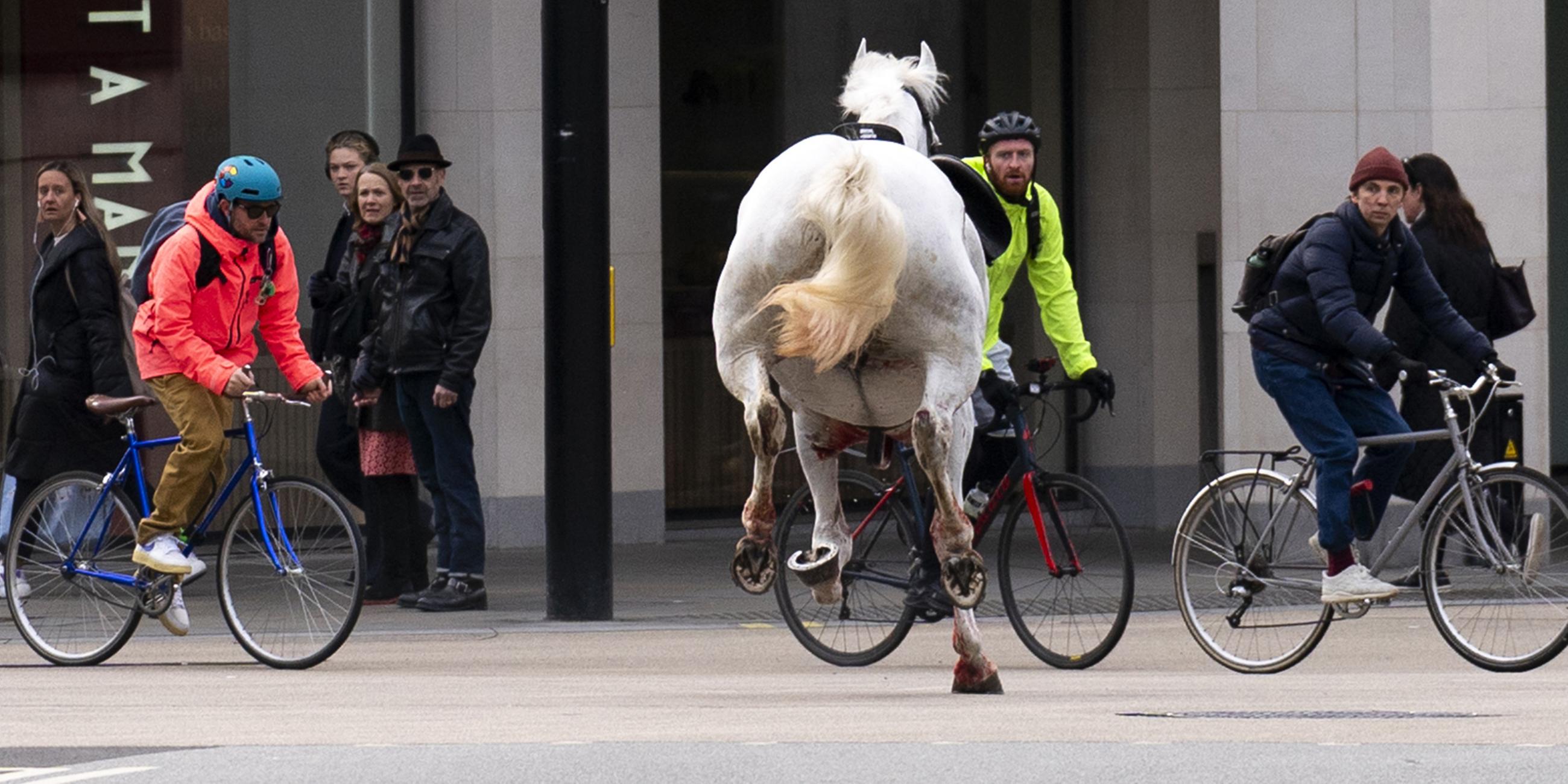 Ein Pferd läuft durch die Straßen von London.
