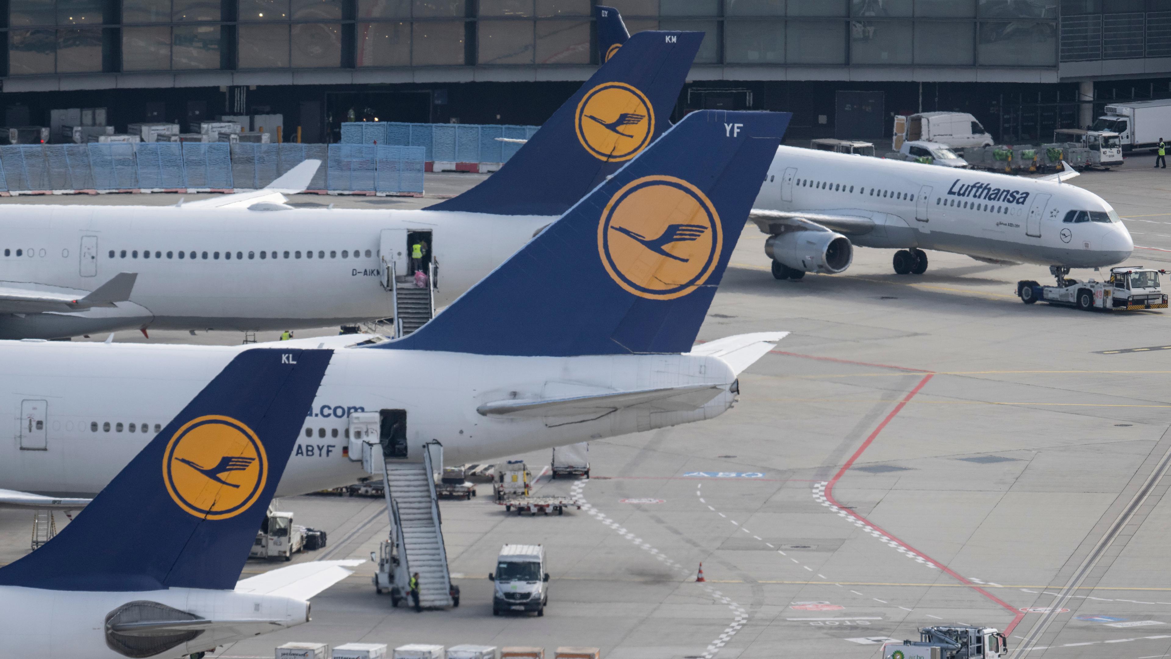 Passagierjets der Lufthansa stehen auf dem Flughafen Frankfurt. 