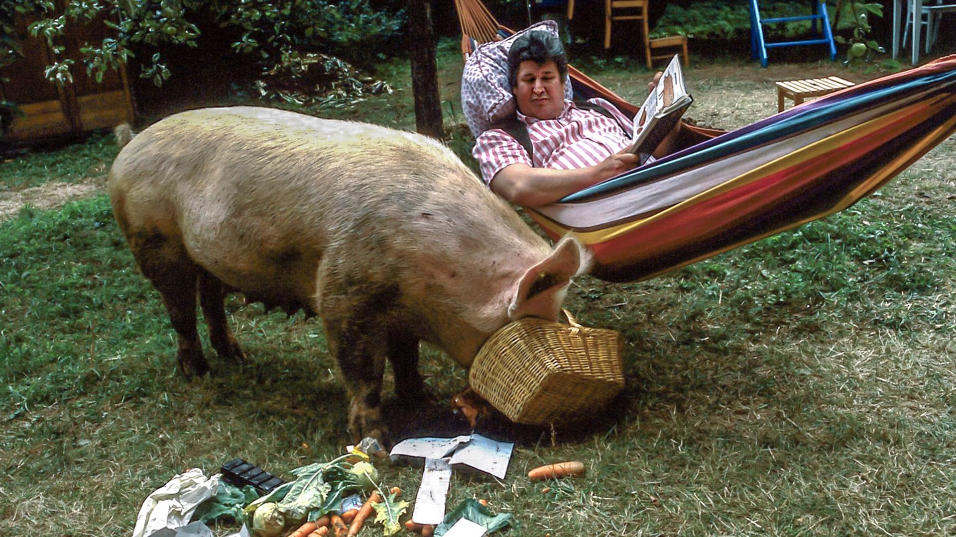 Herr Paschulke liegt in einer bunten Hängematte und hält ein Buch in den Händen. Neben ihm steckt ein riesiges Schwein seinen Kopf in einen Flechtkorb.