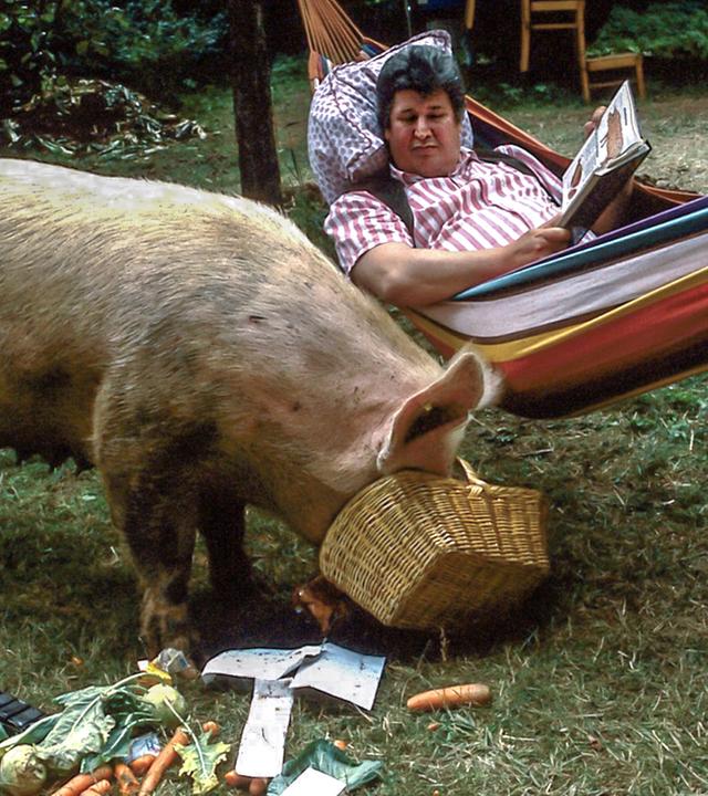 Herr Paschulke liegt in einer bunten Hängematte und hält ein Buch in den Händen. Neben ihm steckt ein riesiges Schwein seinen Kopf in einen Flechtkorb.