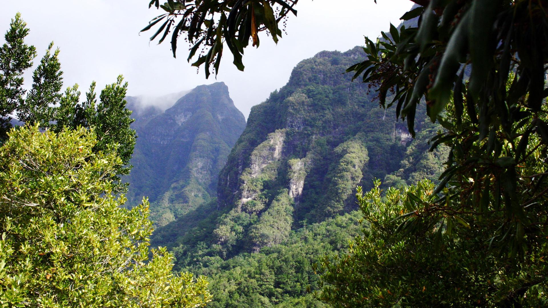 Blick auf Landschaft in Madeira