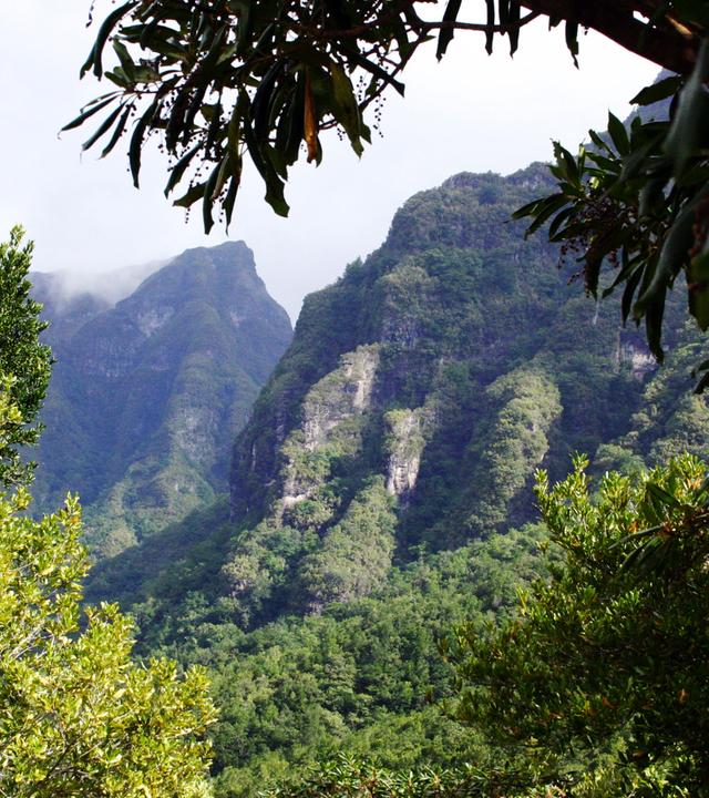 Blick auf Landschaft in Madeira