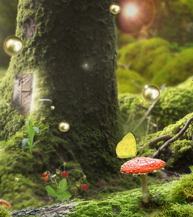 2020 Die Hexenprinzessin