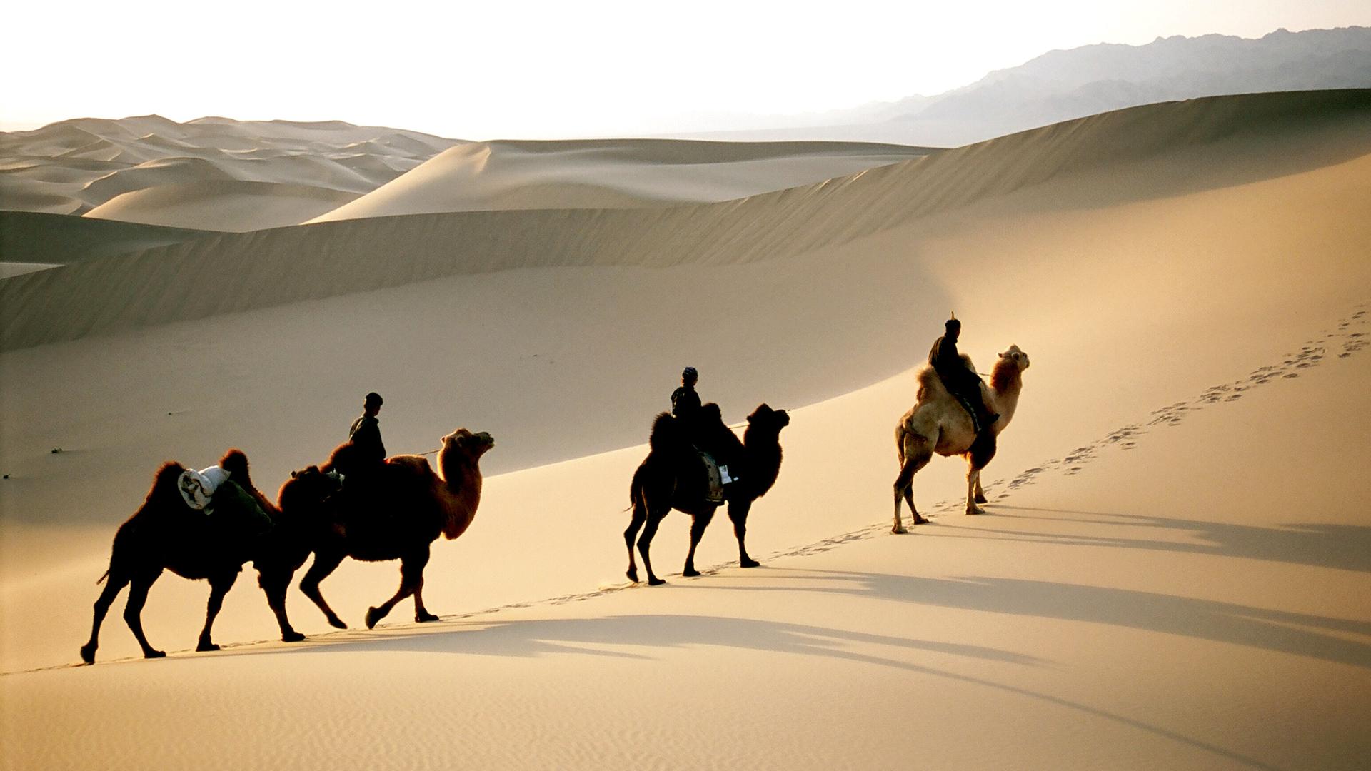 Reiter in der Wüste Gobi